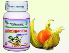 Benefits of Ashwagandha | Ashwagandha Uses